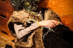 IMG_9764_2