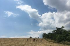 EB62556B-0C9D-40FE-BB54-1EC43215D2DE