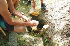 OLYMPUS DIGITAL CAMERA