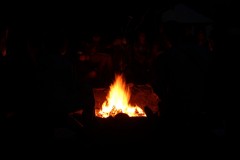 IMG_4955