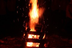 IMG_2898_2