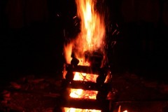 IMG_2899_2
