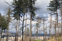 IMG-20240318-WA0016