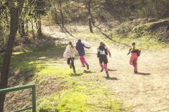 IMG_4123_1